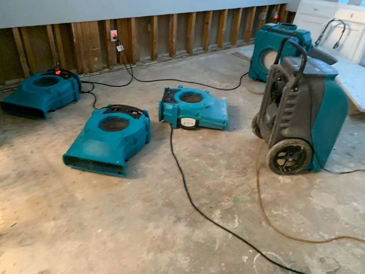Mold Remediation & Removal in Ken Caryl, CO